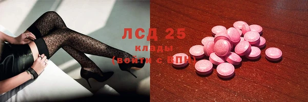 дживик Белокуриха
