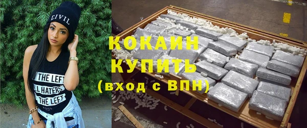дживик Белокуриха