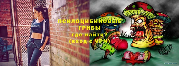 дживик Белокуриха