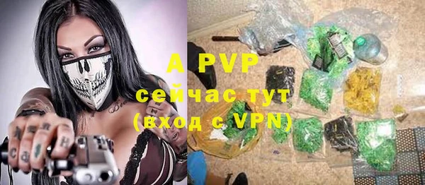 дживик Белокуриха