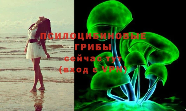 дживик Белокуриха