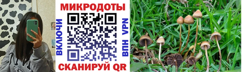 мега как зайти  наркотики  Пыть-Ях  Галлюциногенные грибы Magic Shrooms 