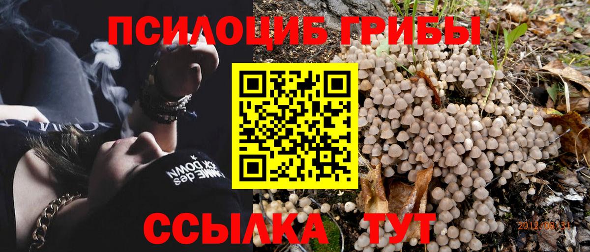 Псилоцибиновые грибы ЛСД Пыть-Ях